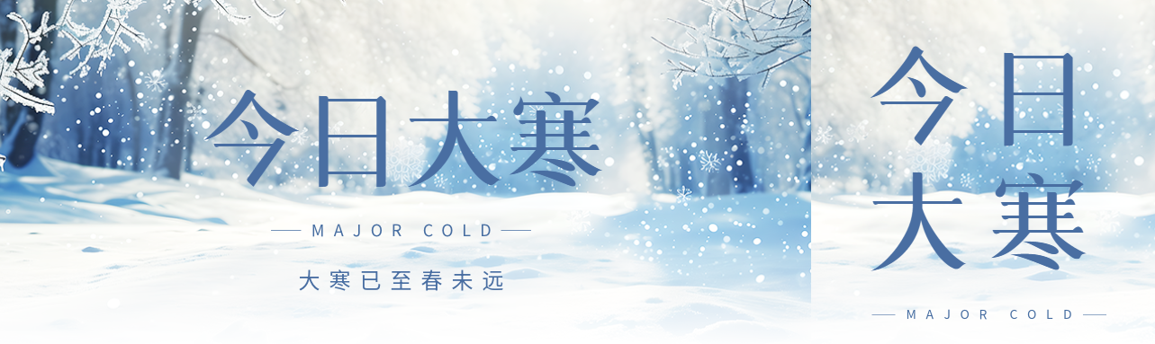 今日大寒雪中森林实景公众号封面图