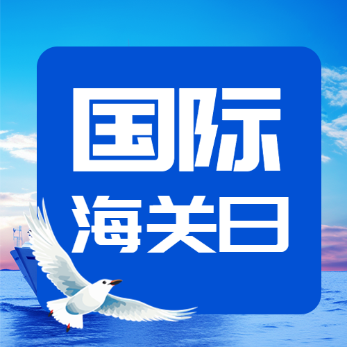 国际海关日蓝色简约微信公众号次图