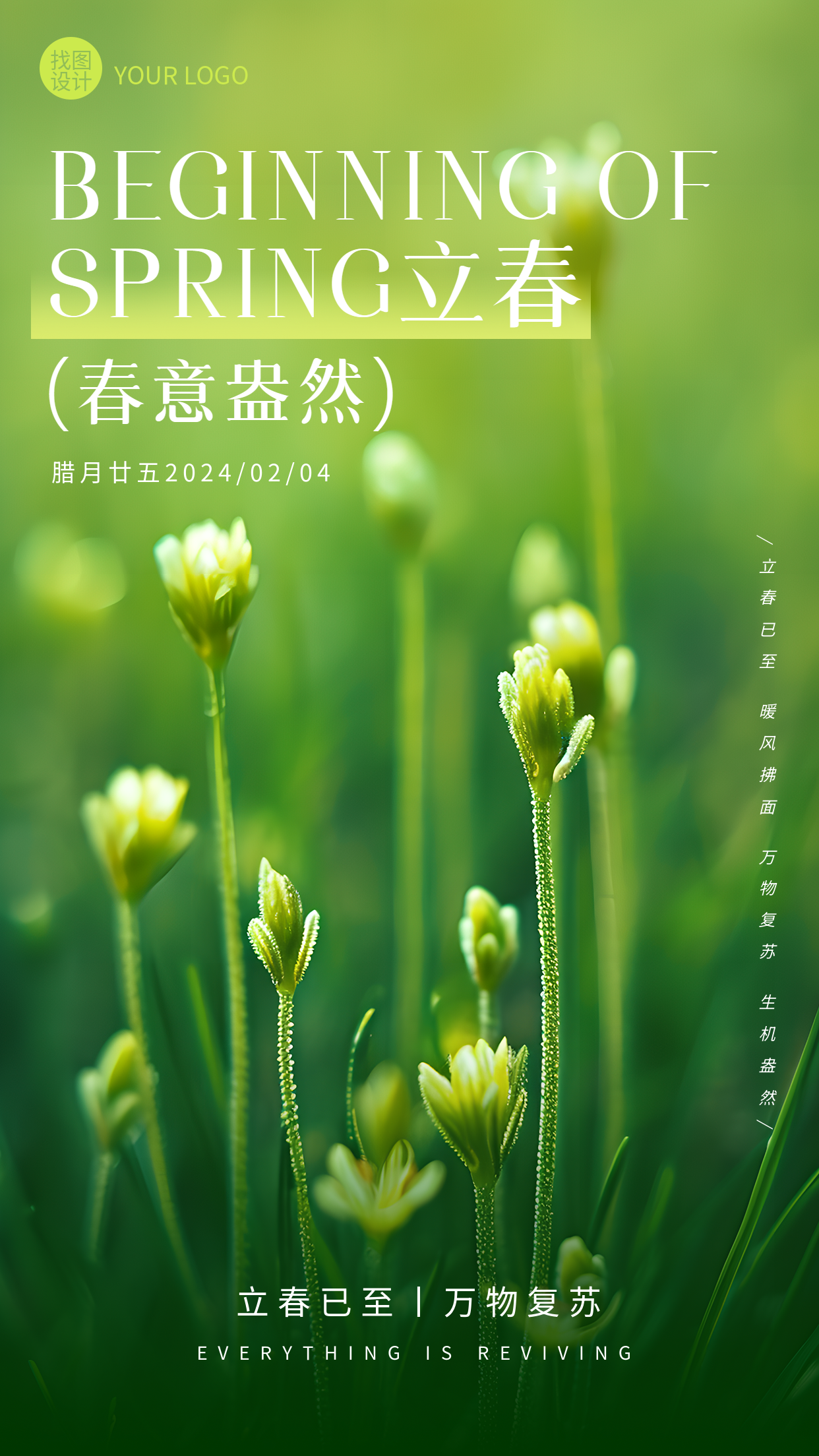 立春节气万物复苏花草实景手机海报