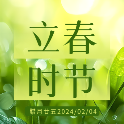 立春时节绿色光影微信公众号次图
