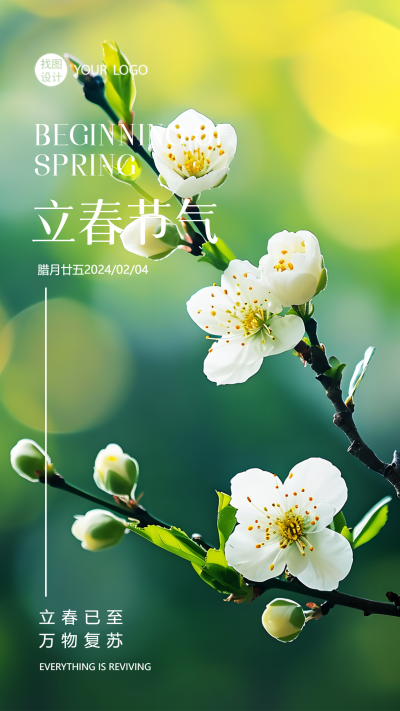 立春节气花朵实景宣传手机海报
