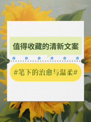 清新文案分享创意小红书封面配图