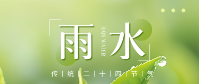 雨水节气绿叶实景微信公众号首图