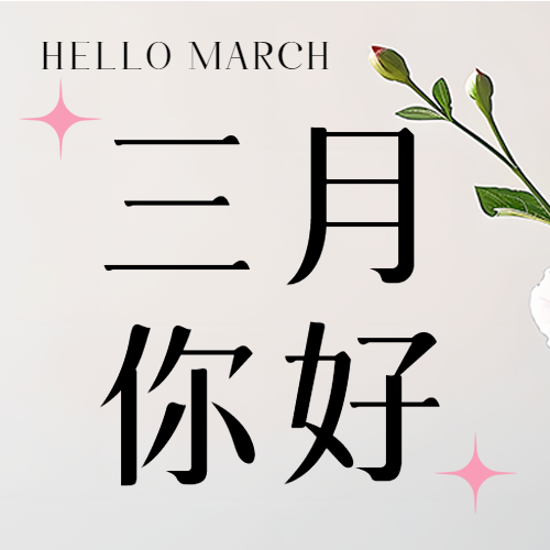 三月你好简约星星微信公众号次图