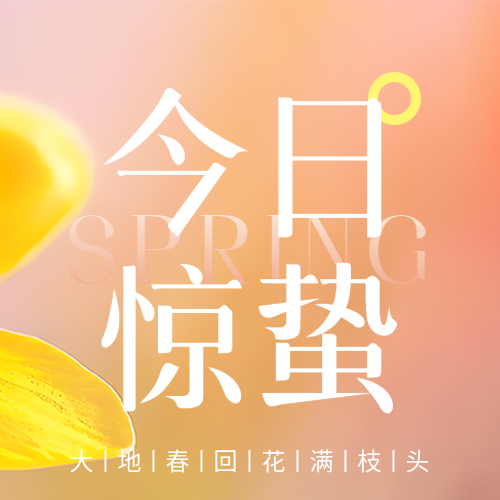 今日惊蛰弥散风微信公众号次图
