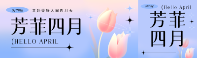 芳菲四月唯美郁金香公众号封面图