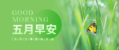 五月早安绿色简约微信公众号首图
