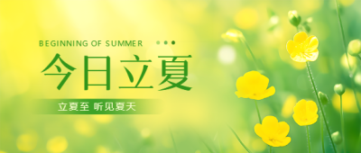 今日立夏唯美小黄花微信公众号首图