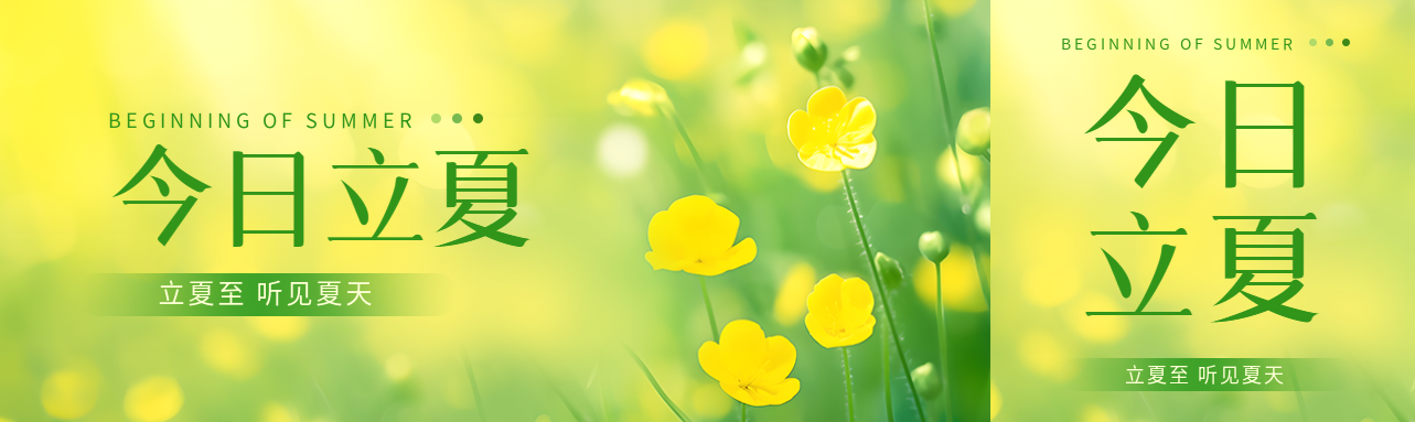 今日立夏花朵实景公众号封面图