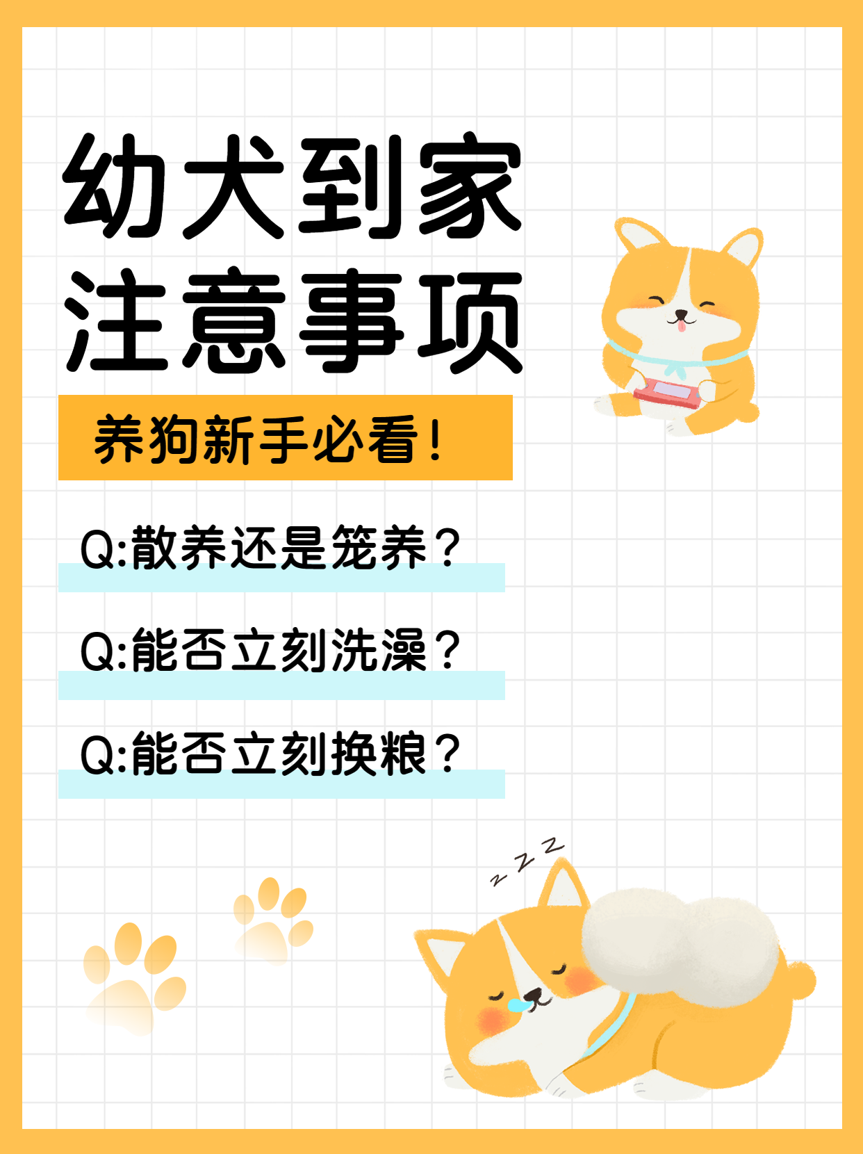 幼犬到家注意事项小红书封面配图