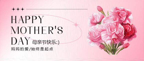 母亲节唯美康乃馨微信公众号首图