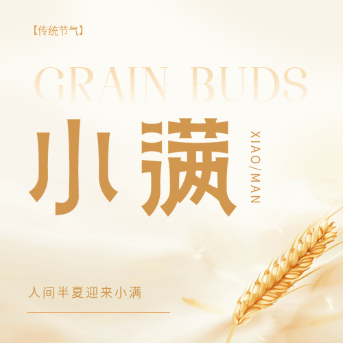 今日小满小麦实景微信公众号次图