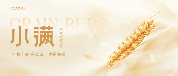 小满时节高级感微信公众号首图