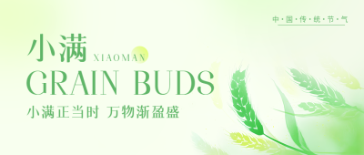 小满节气江河渐满微信公众号首图