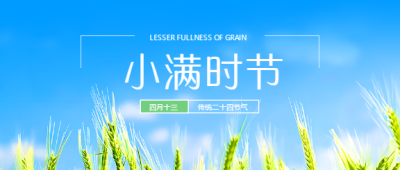 小满时节小麦饱满微信公众号首图