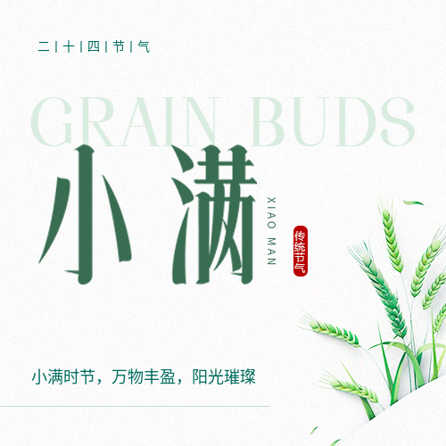小满时节白色简约微信公众号次图