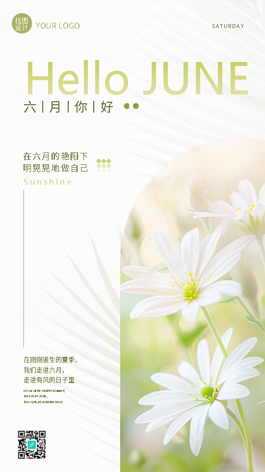 六月你好小雏菊极简风手机海报