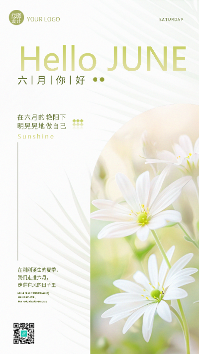 六月你好小雏菊极简风手机海报