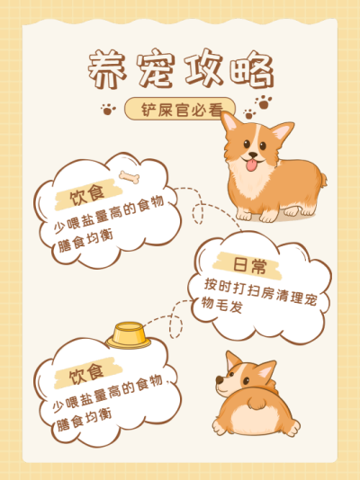 铲屎官的养宠攻略可爱狗狗小红书封面