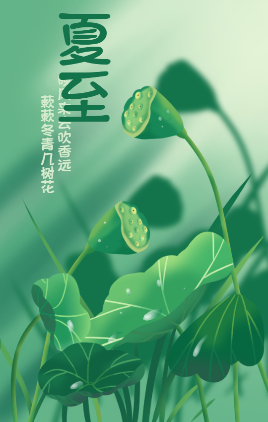 夏至荷花芦苇手机海报