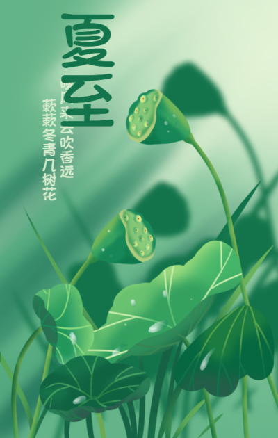 夏至荷花芦苇手机海报
