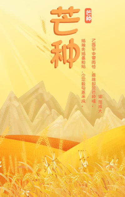 芒种/节气插画/手机海报