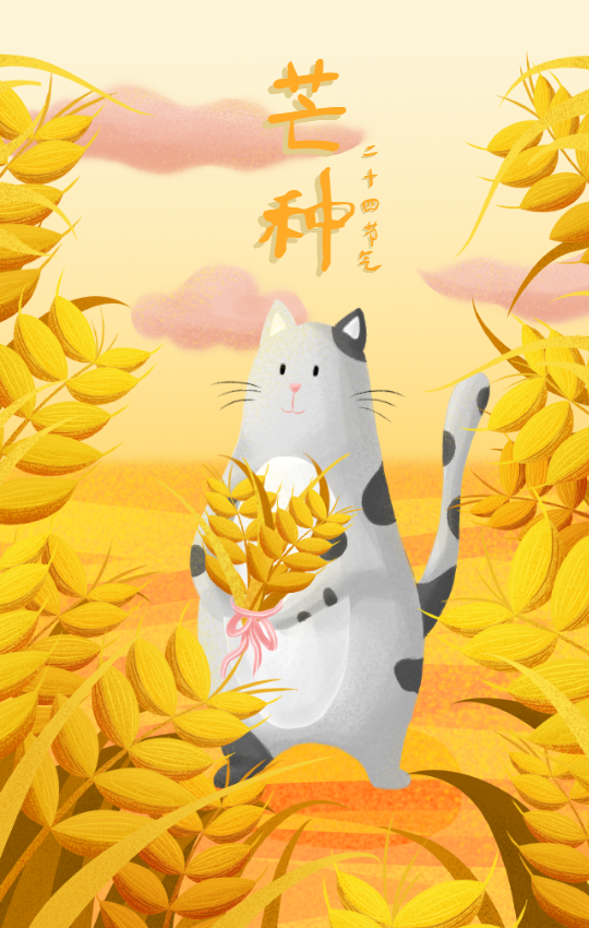 芒种节气麦穗手机海报