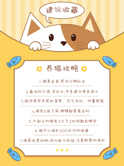 养猫攻略宠物喂养指南封面