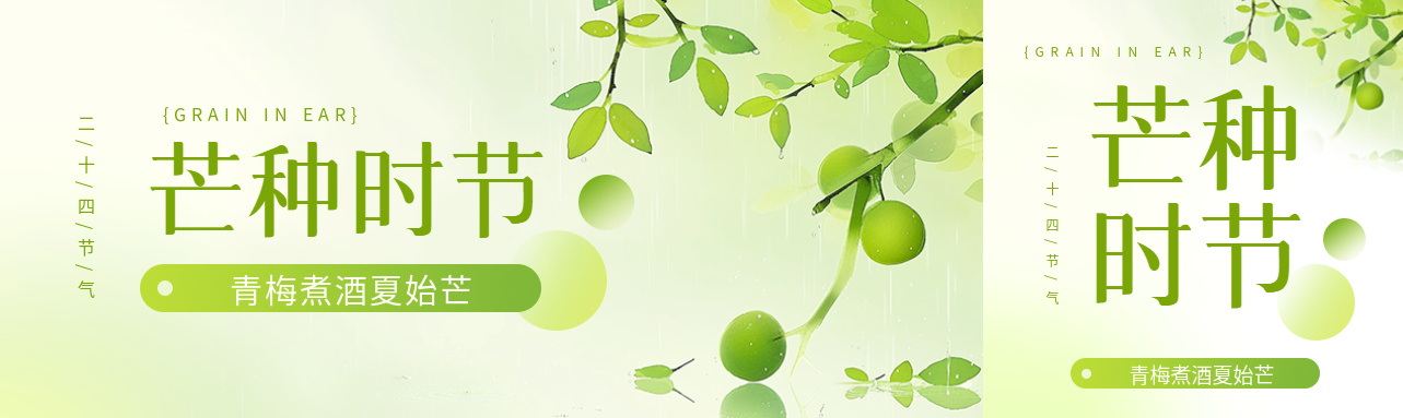 芒种时节青梅煮酒公众号封面图