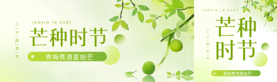 芒种时节青梅煮酒公众号封面图