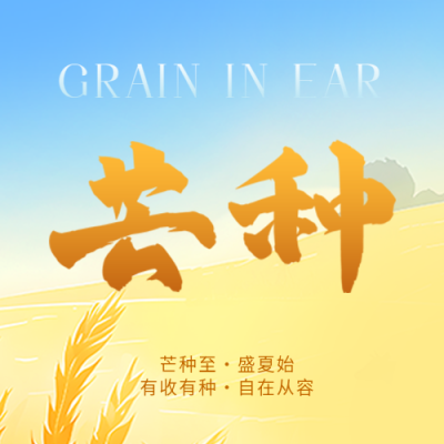 芒种节气盛夏初始微信公众号次图