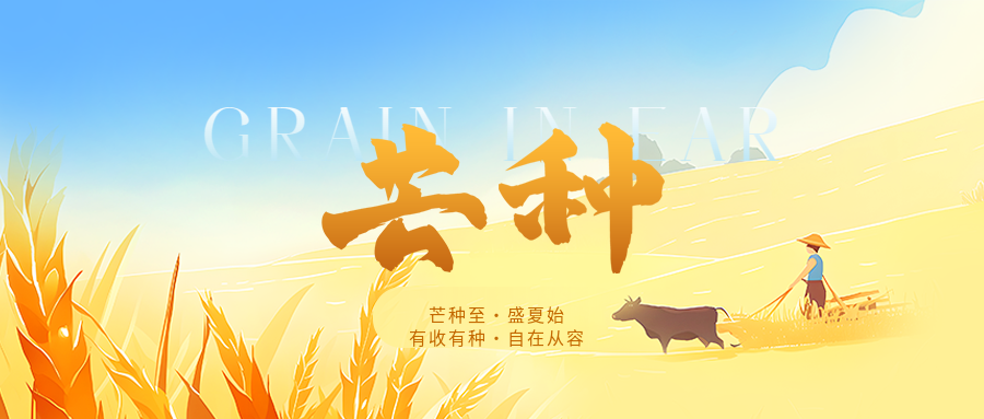 芒种节气南方种稻微信公众号首图