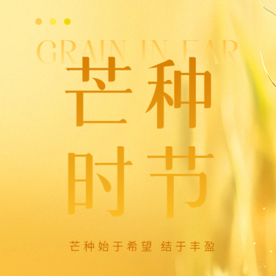 芒种时节简约宣传微信公众号次图
