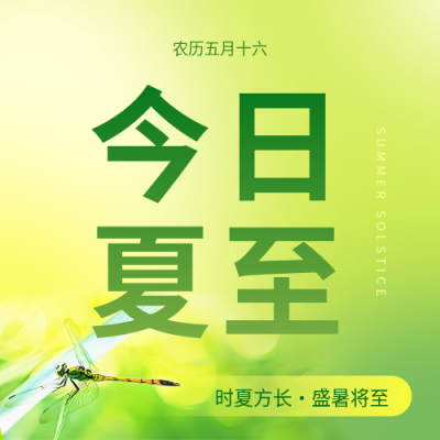 今日夏至绿色简约微信公众号次图