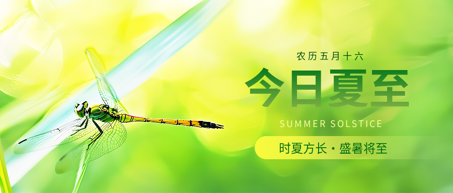 今日夏至清新简约微信公众号首图