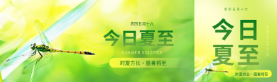 今日夏至蜻蜓实景公众号封面图