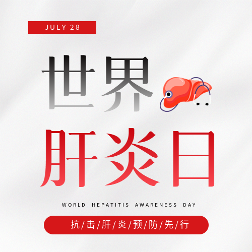 世界肝炎日白色简约微信公众号次图
