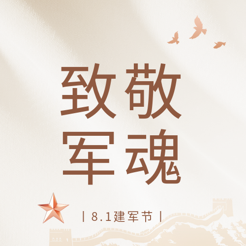 建军节致敬军魂微信公众号次图