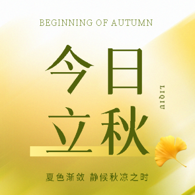 今日立秋简约光影微信公众号次图