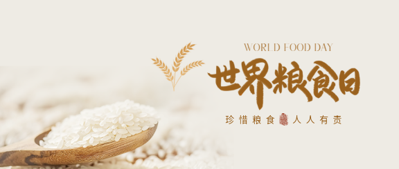 世界粮食日大米实景微信公众号首图