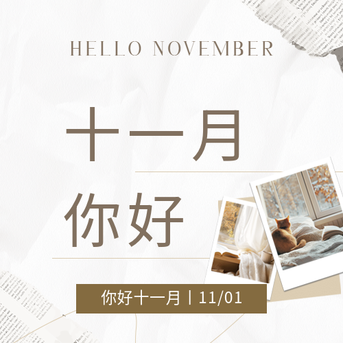 十一月你好报纸贴纸微信公众号次图