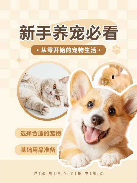 新手养宠必看卡通小红书封面配图