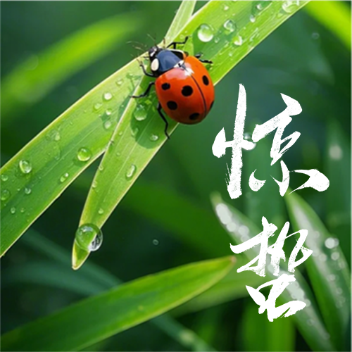 惊蛰时节气温回暖微信公众号次图