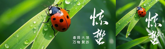 今日惊蛰春回大地公众号封面图