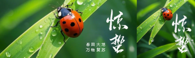 今日惊蛰春回大地公众号封面图