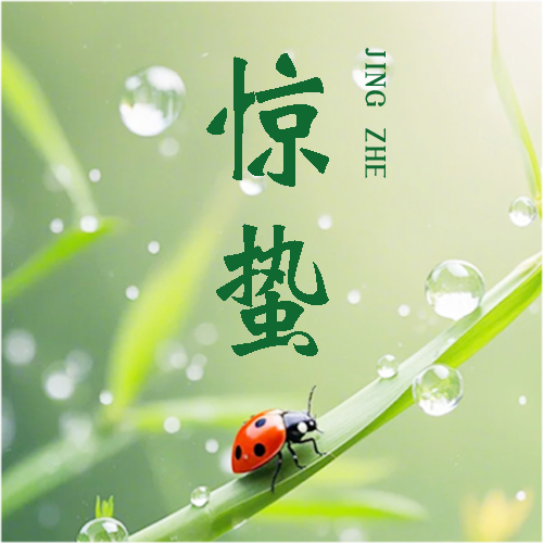 惊蛰传统习俗宣传微信公众号次图
