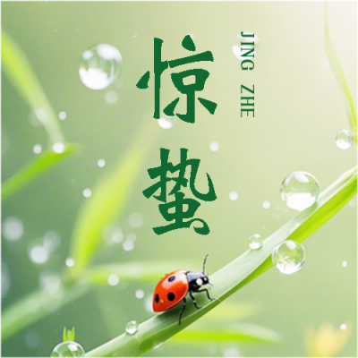 惊蛰传统习俗宣传微信公众号次图
