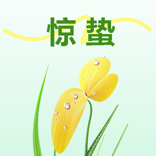 惊蛰时节唯美花卉微信公众号次图