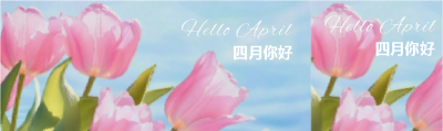四月你好唯美郁金香公众号封面图