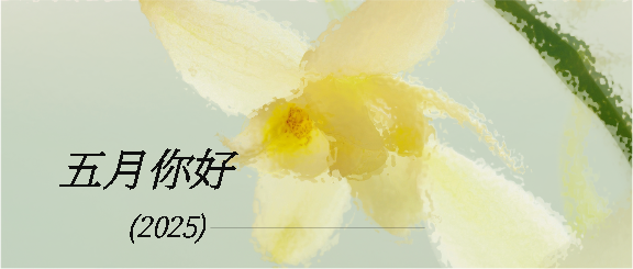 五月你好简约花卉微信公众号首图